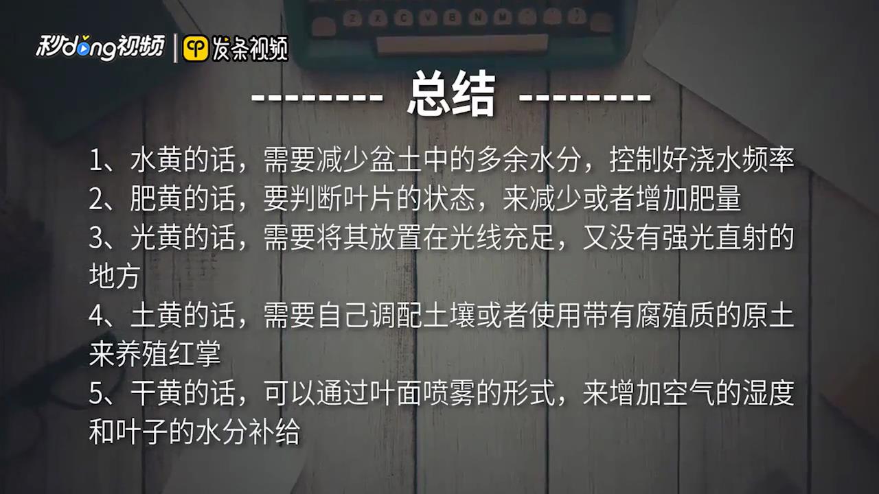 红掌叶子发黄怎么补救
