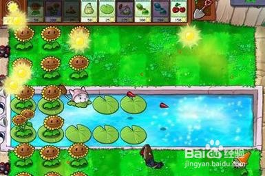 植物大战僵尸泳池无尽版攻略