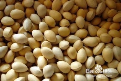 药食同源知多少——白果