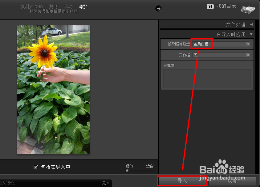 如何让lightroom导入照片时使用预设