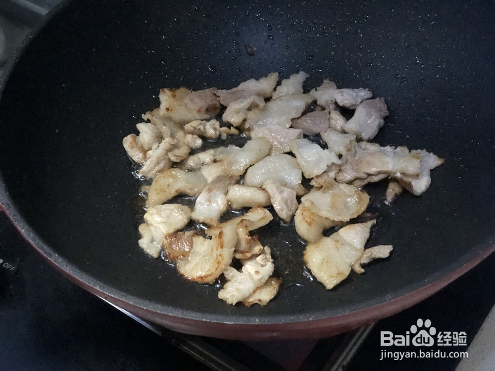 吃光光的猪肉豆角粉条