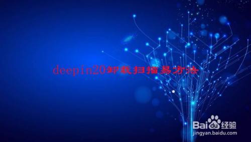 deepin20卸载扫描易方法