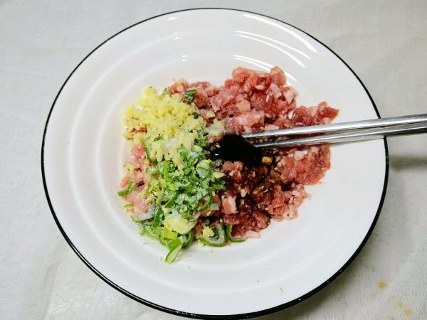 水萝卜肉馅水饺