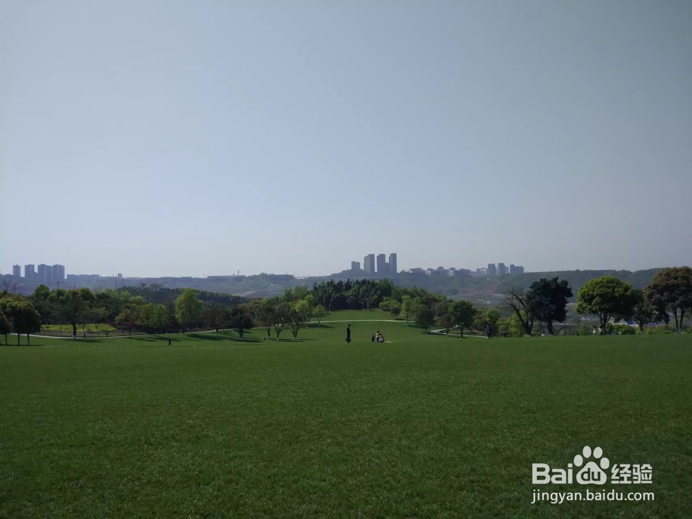 重庆中央公园景点(不要门票)