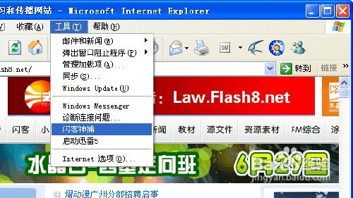 怎样抓取网页中的flash动画