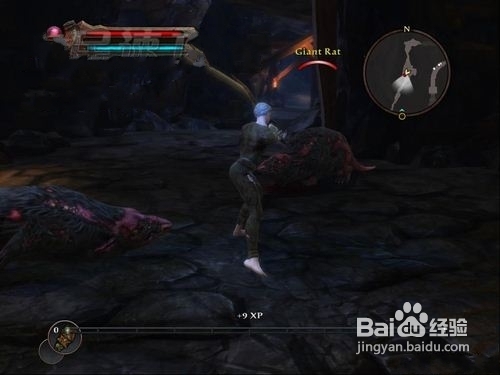 《阿玛拉王国:惩罚》序章图文流程攻略