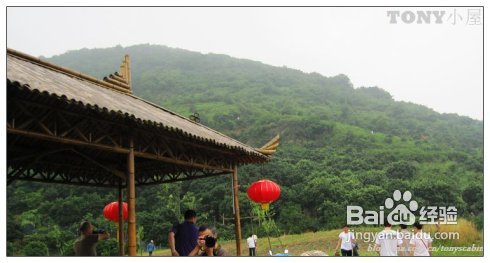 又当江南杨梅熟----采杨梅去！附杨梅的4种最in的吃法
