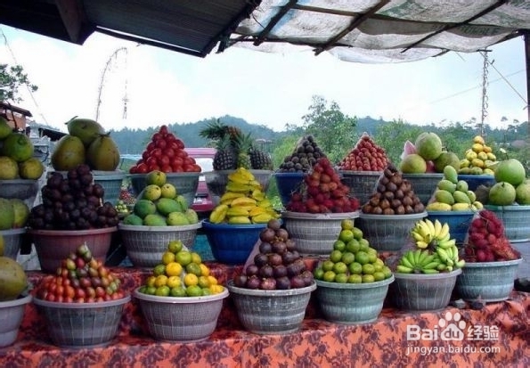 不一样的海南旅游攻略：[3]如何购买热带水果