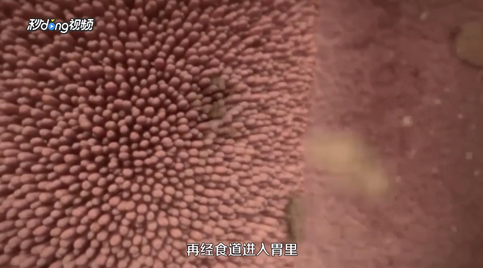 可乐杀精还是雪碧杀精呢？