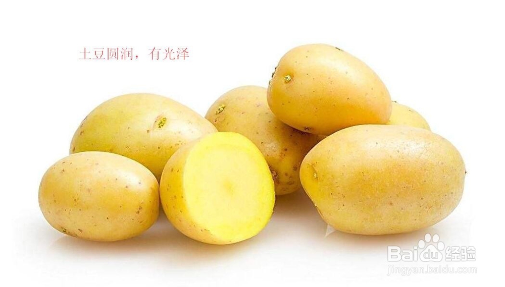 如何选购和购买优质土豆