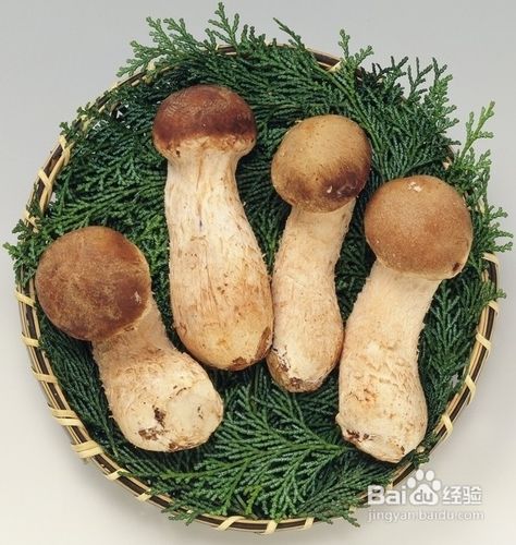 净化血液的食物