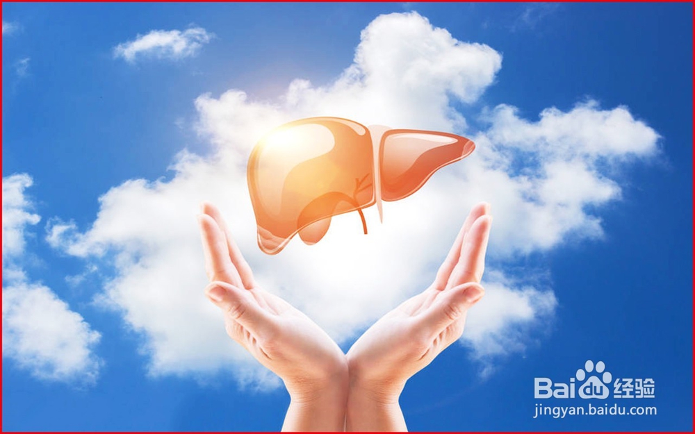 <b>如何保护好自己的肝脏</b>
