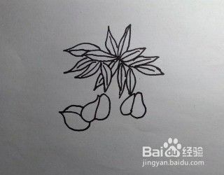 花卉画法教程：怎么画藤萝？如何画紫藤萝？