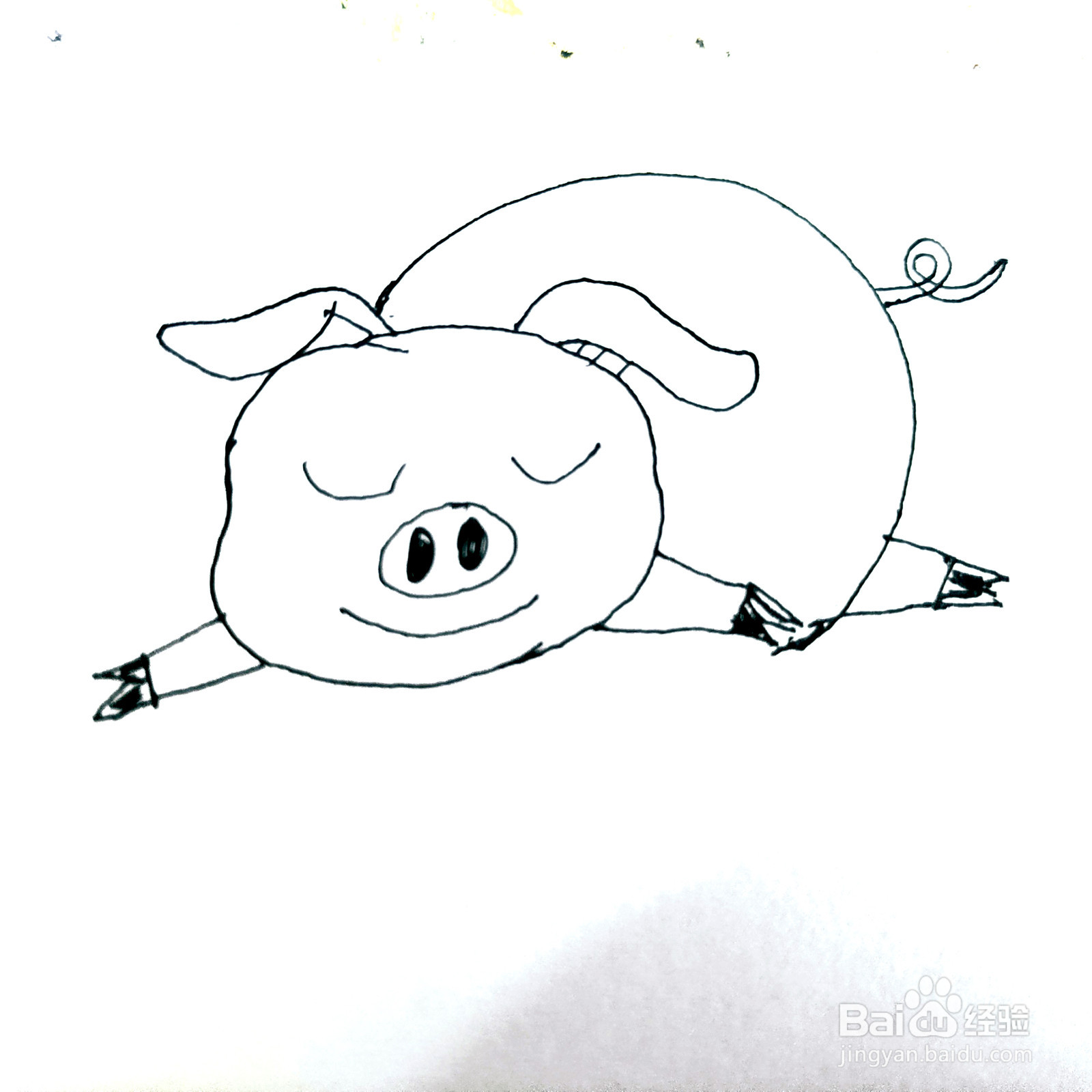 如何来画一只卡通睡觉的小懒猪简笔画呢
