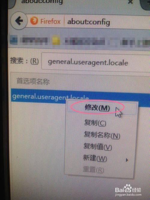 如何将火狐浏览器扩展插件的菜单信息变中文