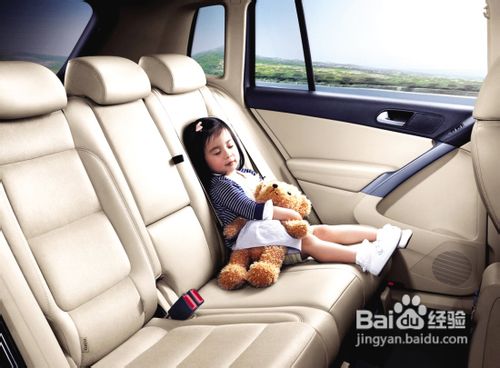 对抗车毒的六招方法