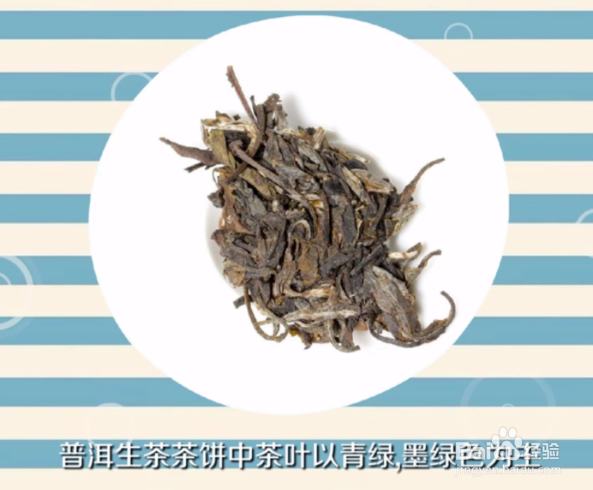 生普洱和熟普洱有什么区别