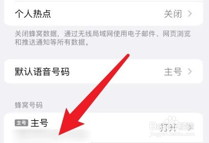 怎么关闭苹果手机的低数据模式