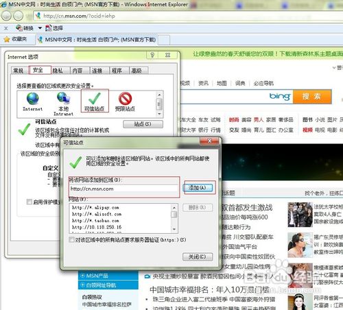 Internet Explorer 8的安全设置