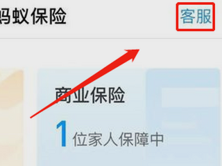 支付宝国泰产险怎么取消？
