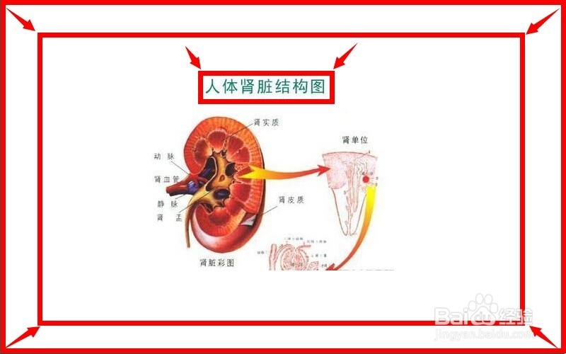 <b>男人肾虚有哪些症状</b>