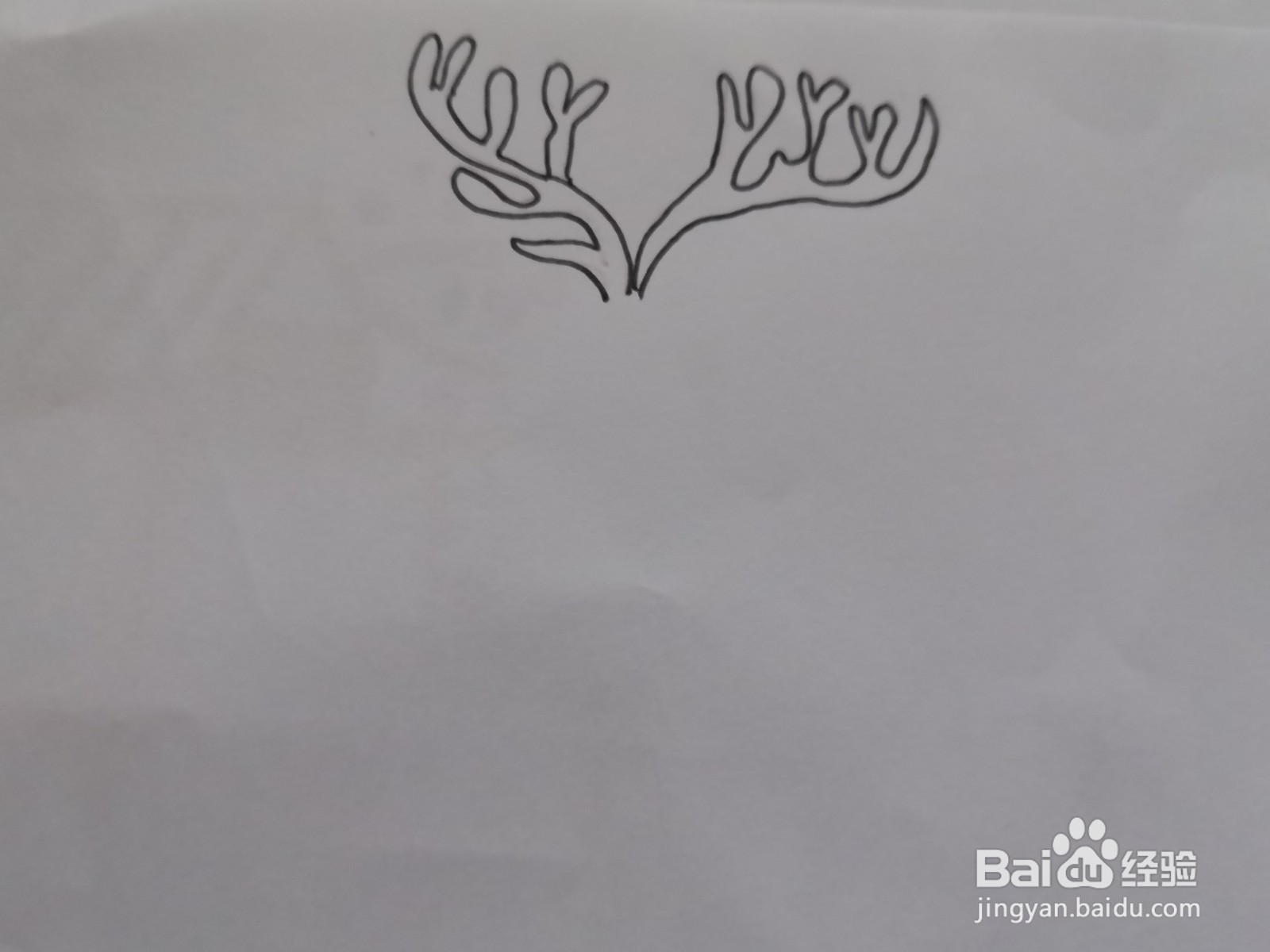 鹿简笔画图片