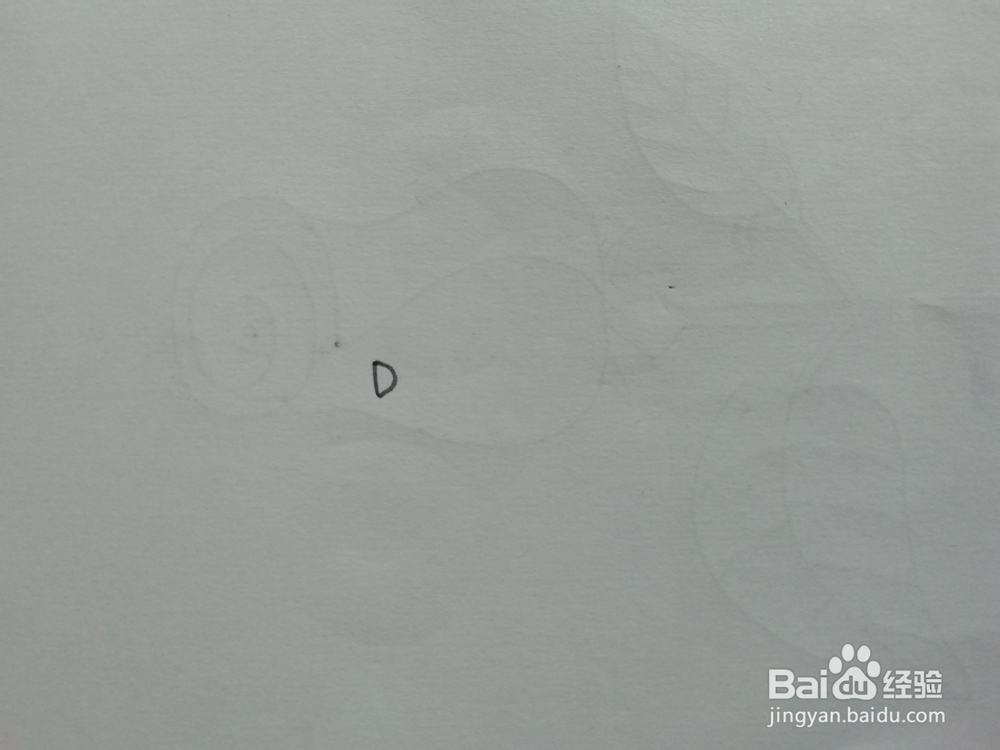 简笔画怎么画狮子