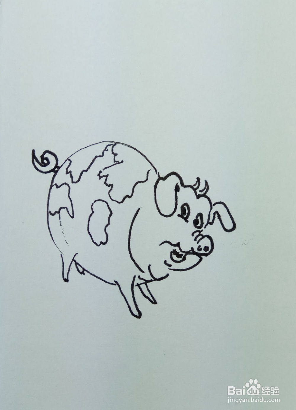 怎样画简笔画“花胖猪”？