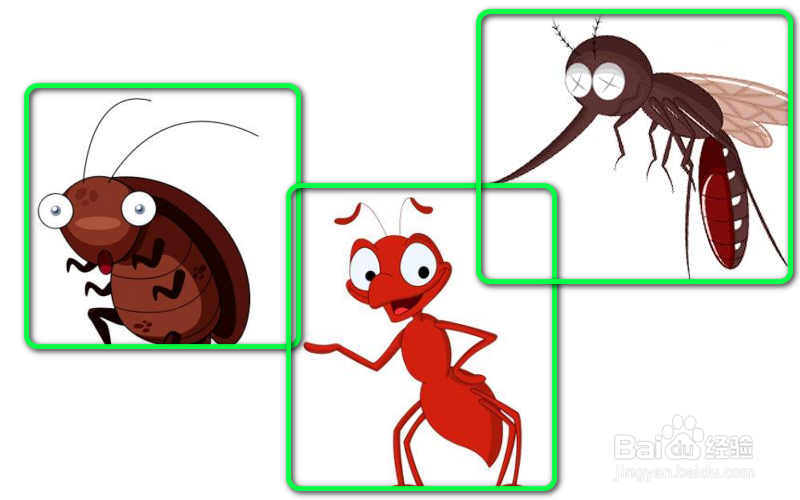 <b>家中如何处置蚂蚁、蚊子、蟑螂有效</b>