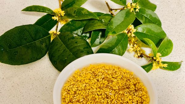 水晶椰汁桂花糕