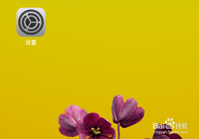 苹果iPhone手机怎样打开智能反选颜色？