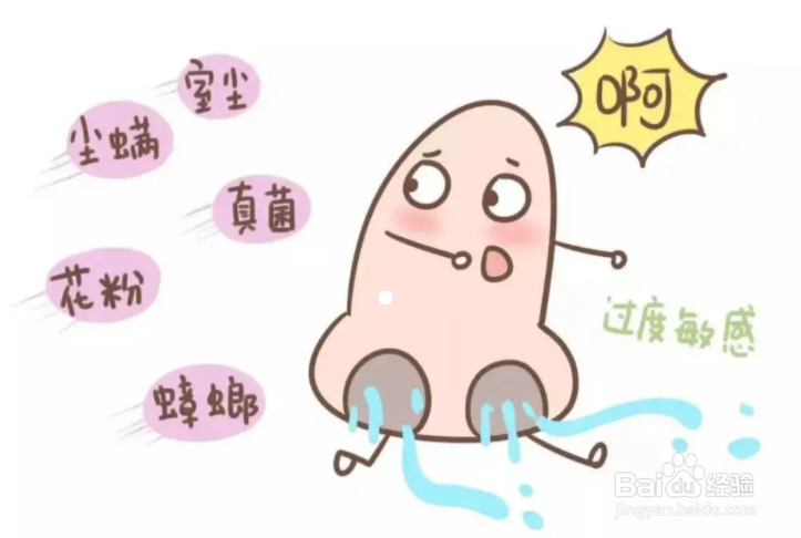 过敏性鼻炎的常见过敏原