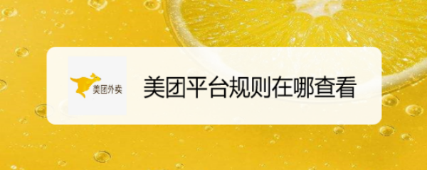 美团平台规则在哪查看
