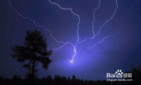 雷电交加 暴雨来袭 这些安全常识教给孩子了吗？