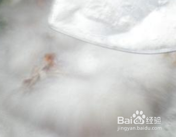 烤鸭剩的鸭架怎么炖汤