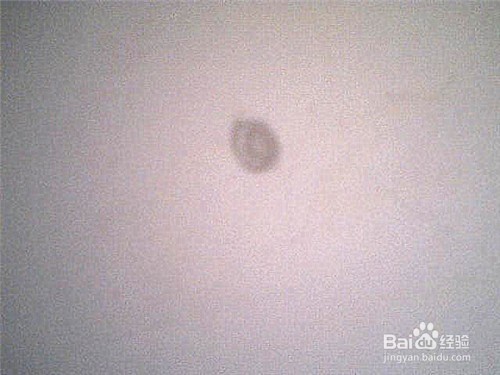 简笔画梅花怎样画：