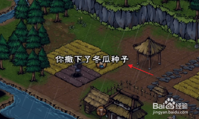 烟雨江湖怎样播种