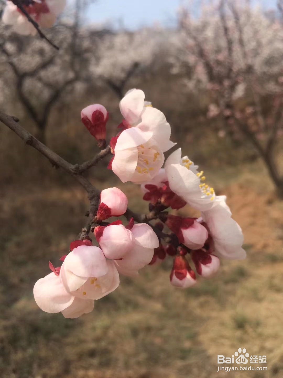 怎么在工作中保持良好心态