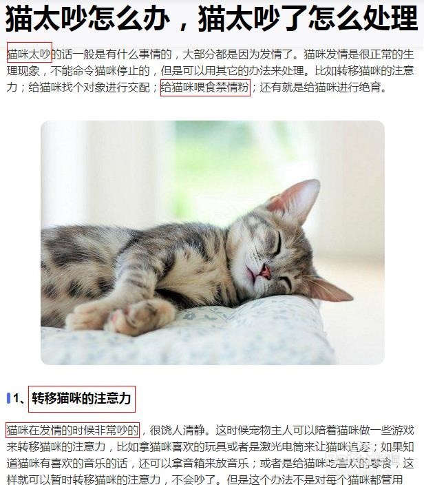 猫老是叫太吵了怎么办