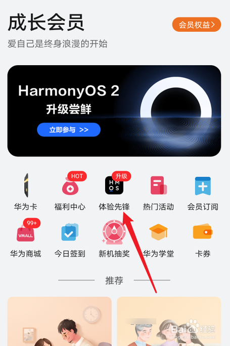 只有华为手机可以用鸿蒙系统吗