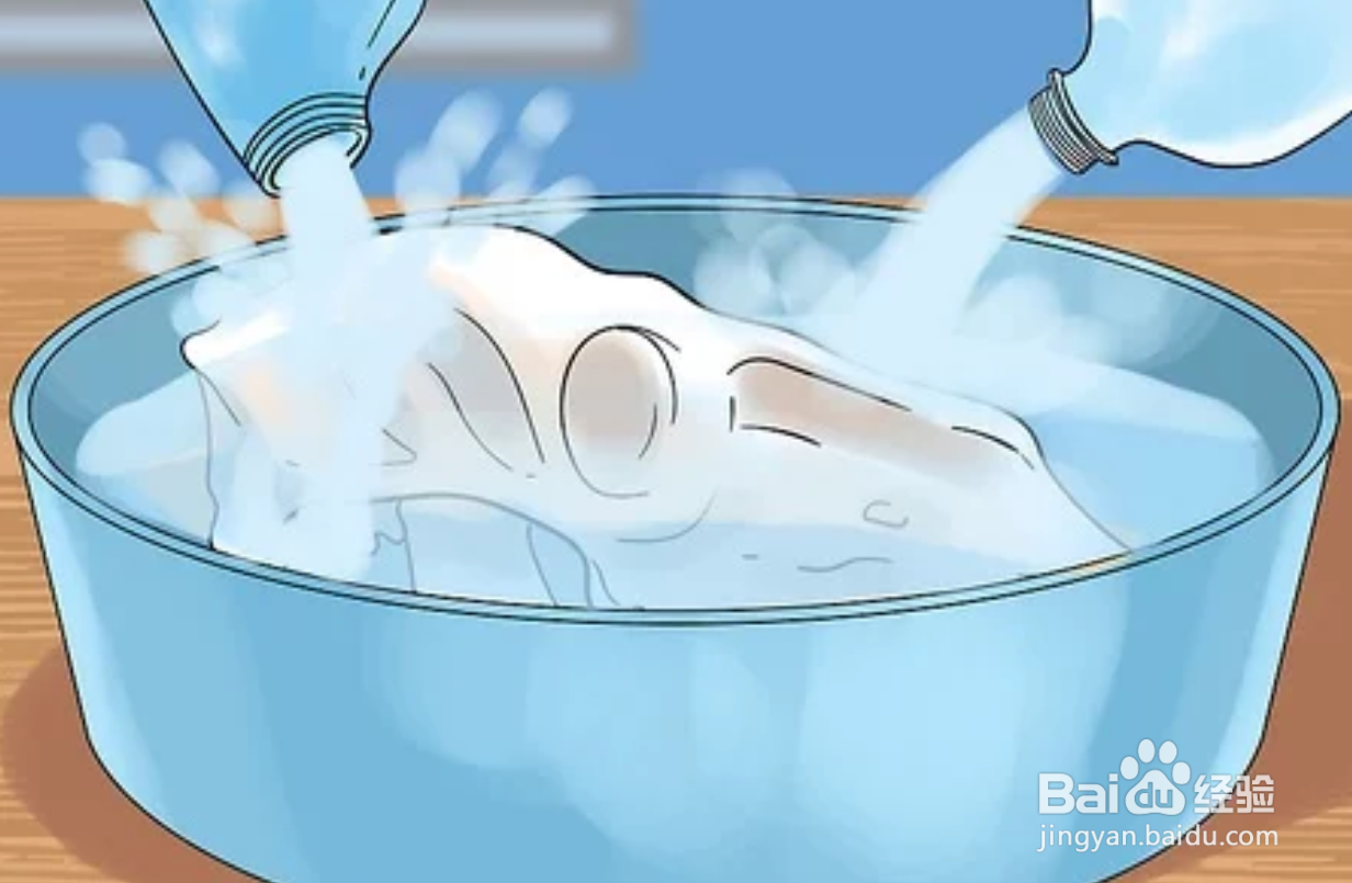 如何保存动物标本