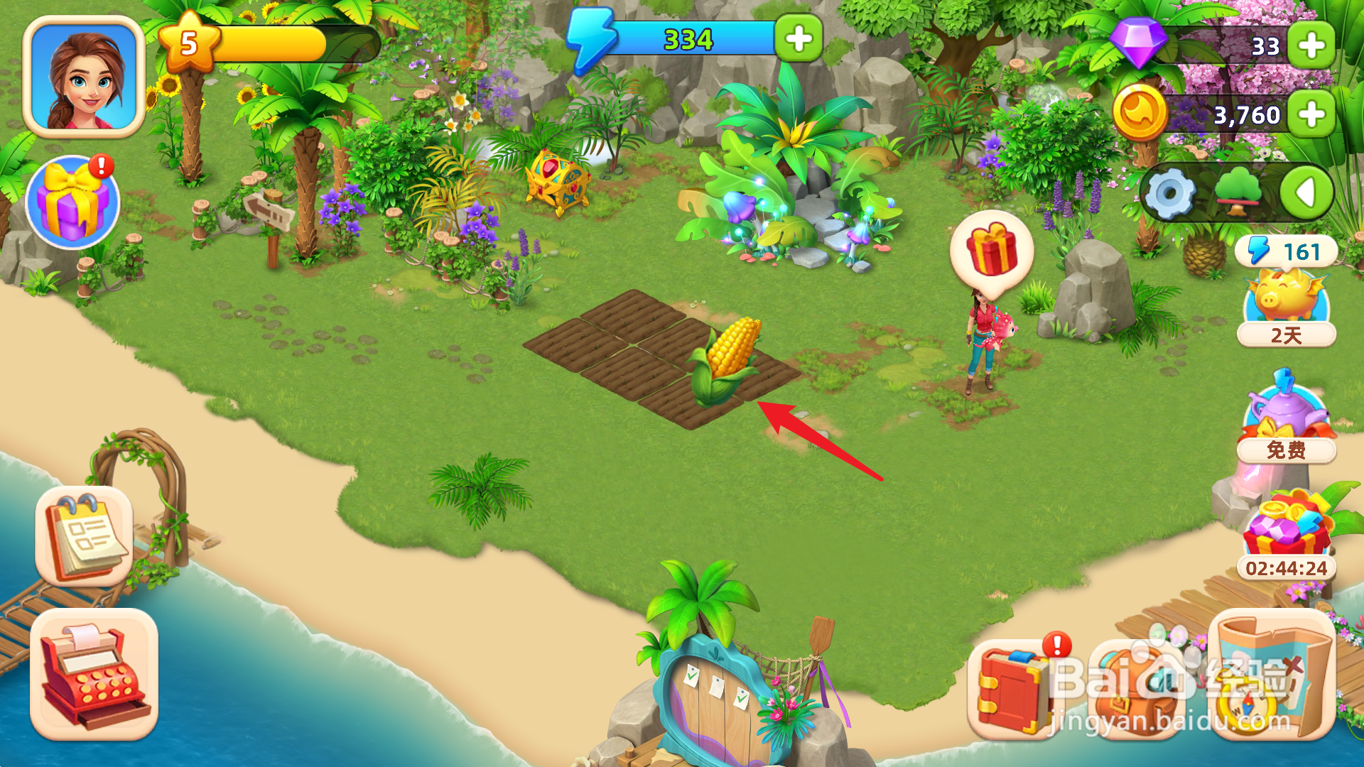 飞龙岛历险记怎么种田