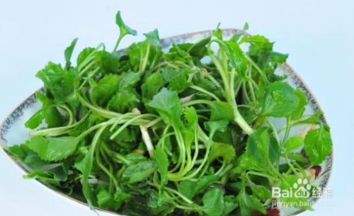 山野菜刺果棒怎么吃