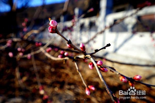 周末父母,不用再担心没地方带孩子去了!