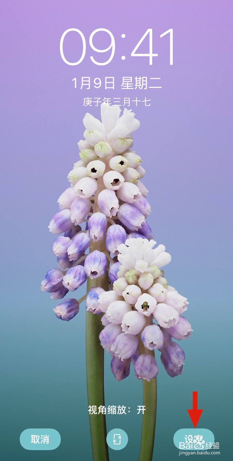 iPhone XS如何设置桌面壁纸？