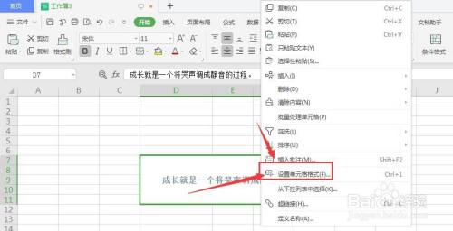 WPS表格文件中如何设置单元格内文字倾斜角度