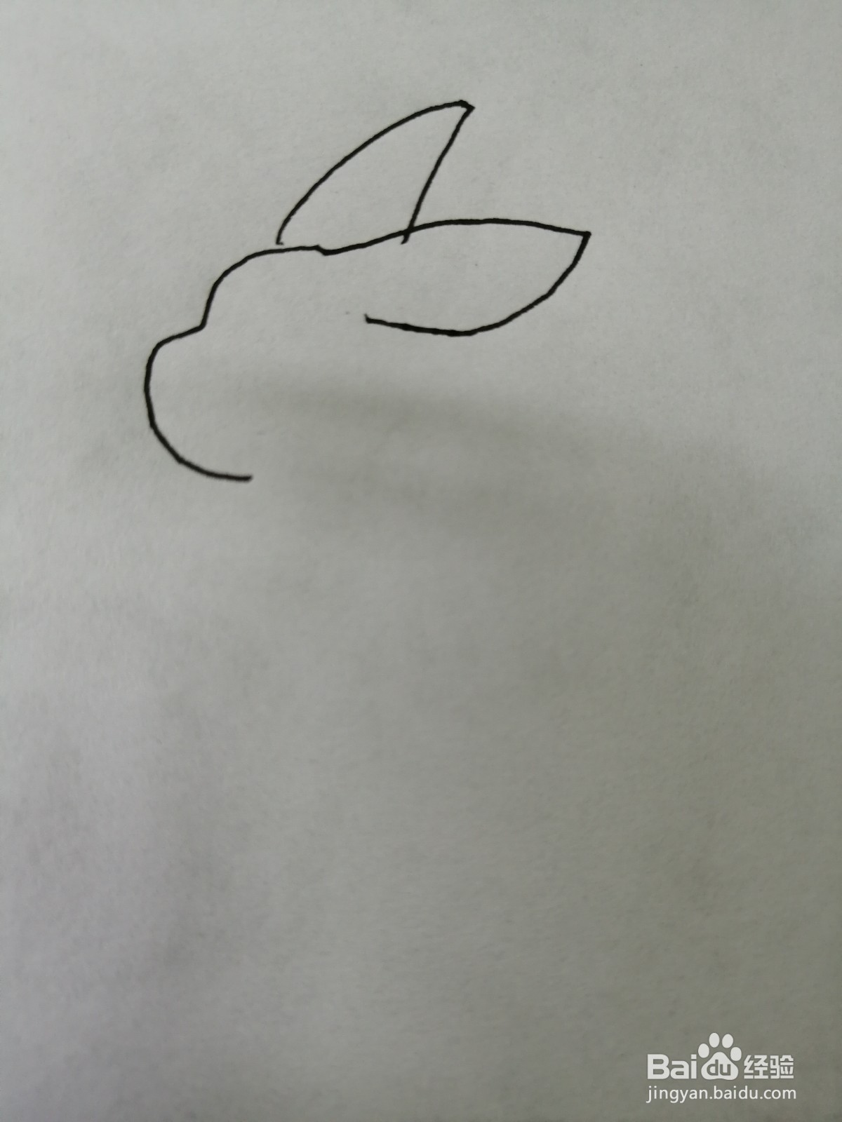 简笔画可爱的皮卡丘怎么画
