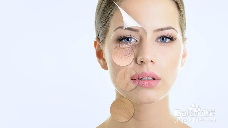 猪的尾巴有什么功效