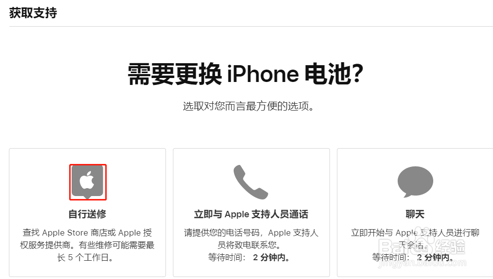 苹果手机换什么电池好