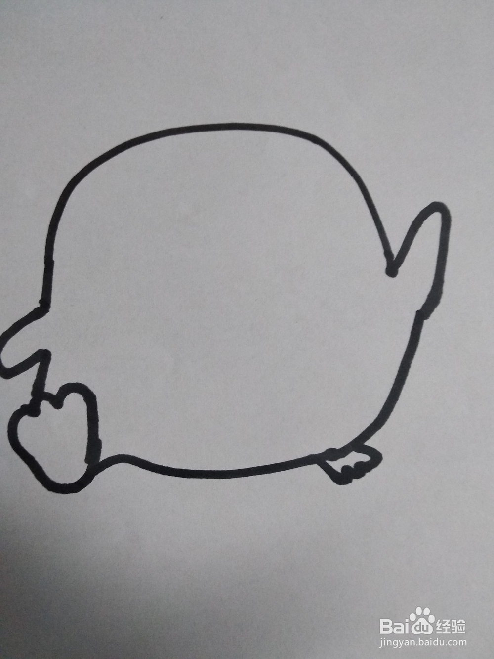 萌萌小鸡仔的简笔画